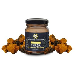 Chaga Mushroom Powder – 50g