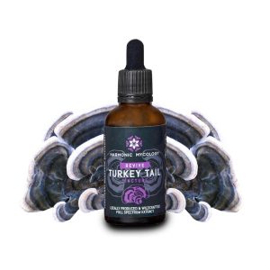 Turkey Tail Mushroom Tincture - 50ml